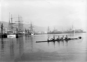 Rowers on Wellington harbour