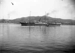 The steam ship "Aorangi"