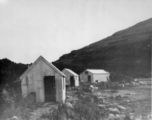 Kitchen and shanties, N E harbour, Campbell Island