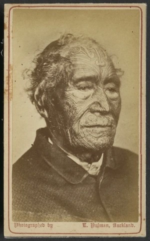 Portrait of Tamati Waka Nene