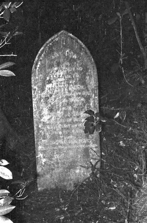 Buck family grave, plot 6505, Bolton Street Cemetery