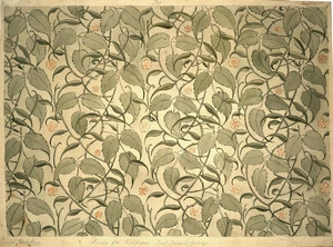 Hodgkins, Isabel Jane 1867-1950 :Design for wallpaper, New Zealand foliage. 1st prize [in New Zealand Industrial Exhibition, Wellington, 1885. 1885?]