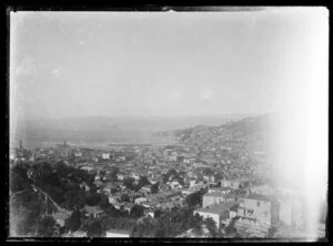 Landscape view of Te Aro and Wellington Harbour