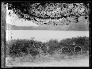 Two bicycles lying on ferns beside a shoreline