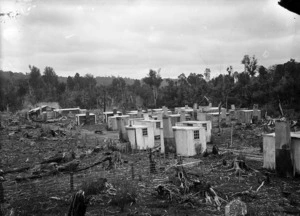 Huts at an Ellis & Burnand bush camp in Ongarue