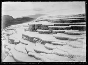 Coffee Cups, White Terrace