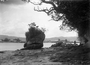 View of Whitianga beach front at low tide