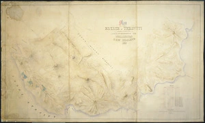 Campion, E J, fl 1871 :Plan of an estate at Terawiti, belonging to the late James McManaman, Esq., Wellington New Zealand, 1869 [ms map]. E. J. Campion, architect and surveyor, August 1869