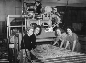 Women working in a food dehydration plant in Pukekohe during World War II