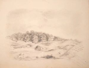 [King, Martha] 1803?-1897 :Looking towards Omata from crossroad near Shaw's farm [ca 1853]