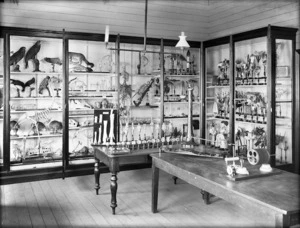 Display of zoological and botanical specimens and models