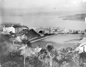 View of Wellington, looking over Kelburn Park and Weir House