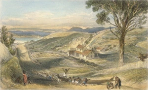 Brees, Samuel Charles 1810-1865 :View looking down Hawkestone Street, Wellington, with Mr Brees' cottage. [1845 ?] Engraved by Henry Melville. Drawn by S C Brees. [London, 1847]