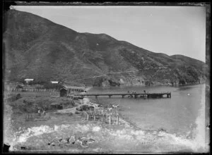 Landscape view of a pier and whale bones in a bay, Te Awaiti