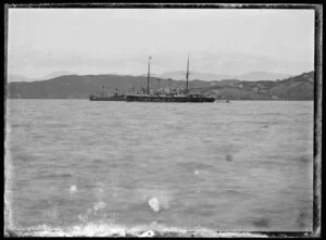 Two ships in Wellington harbour