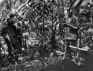 A burial amongst bush in the Pacific region, during World War II