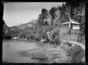 Villa house set in bush above a shoreline