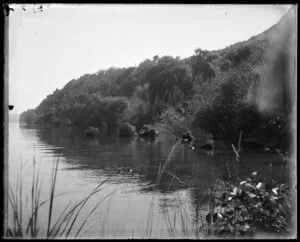 Scenic view of a lakeside