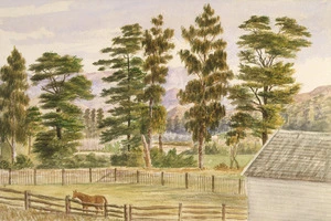 [Muntz, Charles Adolphus] 1834-1908 :[Horse in corral, with barn, trees and mountains, Nelson Region. ca 1870].