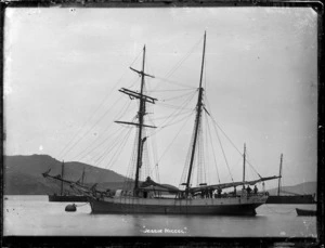 The Jessie Niccol at Port Chalmers.