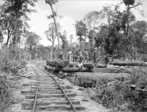 Logging railway, logs, and timber workers