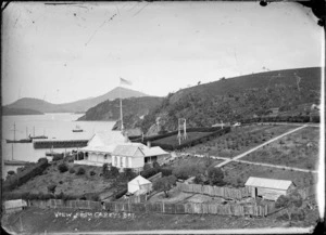 View from Carey's Bay, near Port Chalmers.