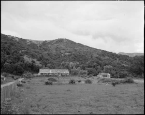 Te Wharehou, the homestead of Apirana Ngata at Waiomatatini, East Coast - Photograph taken by W Walker