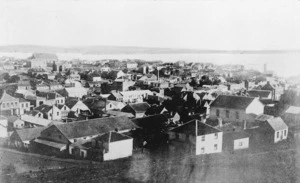 View of houses in central Auckland