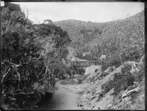 Rimutaka Range, Wellington region, New Zealand