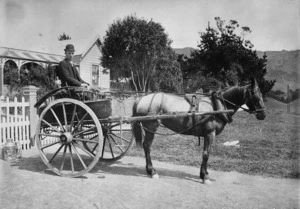 Henry John Lancaster with horse Polly in trap outside 385 Karori Road, Wellington