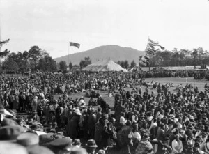 Crowd at Rotorua during the visit of the Prince of Wales in 1920