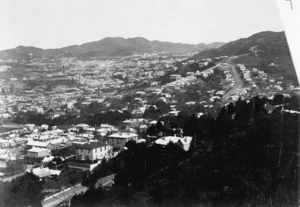 View of Wellington, taken from Nairn and Thompson Street
