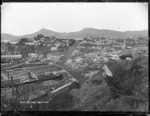 View of Port Chalmers township photographed from the quarry