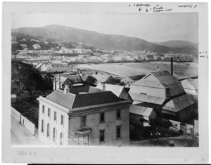 Burton Brothers, 1868-1898 (Firm, Dunedin) : Photograph of Wellington from the fire bell station in Manners Street
