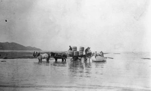 Wool being loaded from a boat on to a horse drawn cart, for shipment at Pourere