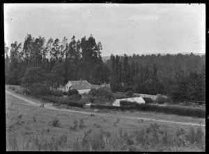 Homestead at Mendip Hills, Hurunui District. View of the back of the house, partially hidden by hedges.