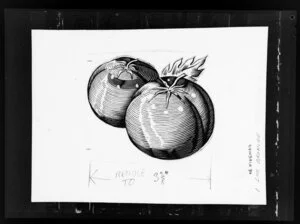 Line drawing of tomatoes