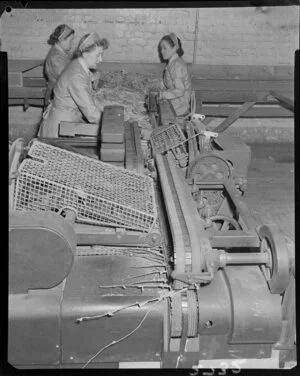 Women sorting tobacco leaves