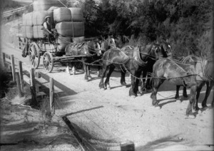 Wool bales transported by horse and cart