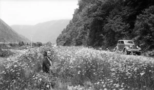 Ngaire Hooper surrounded by wild flowers in Otira Gorge, Westland
