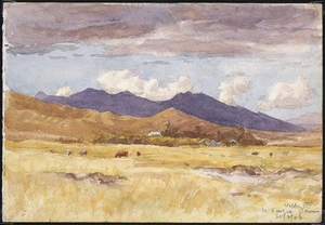 Howorth, Charles Henry, 1856-1945 :Wolds Station, McKenzie Plains. 25/2/06; Puketeraki. 6/3/06.