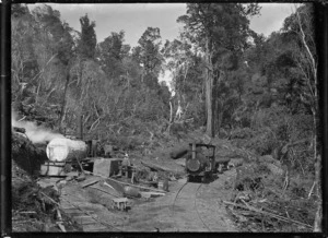 "Knight's tram, Raurimu", in a clearing in the bush, hauling logs.