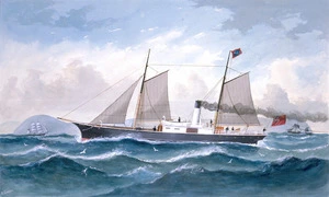Forster, William James, 1851-1891 :The "S.S. Murray" off Terawhiti [Between 1871 and 1879]