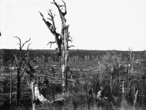 View of an area at Matamau, which has been cleared of nearly all forestation