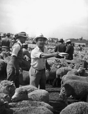 Auctioneer at a sheep sale