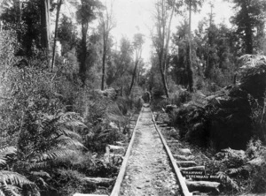 Wagon on Greymouth to Kumara wooden tramway in Taramakau bush