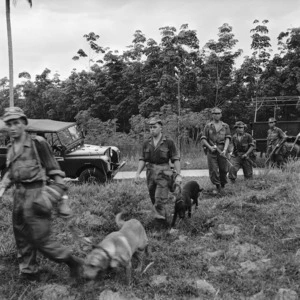 British Loyal Regiment soldiers with tracker dogs, Malaya