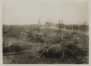 Menin Rd, Ypres sector, Belgium, during World War I