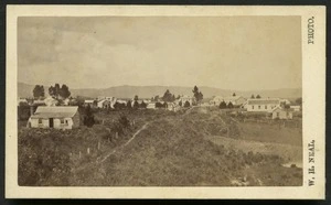 Paddock, path, houses and other buildings, Napier district