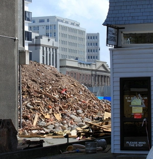 Effects of the Canterbury earthquakes of 2010 and 2011, particularly in Christchurch Red Zone